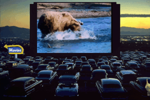 America Adventure 5