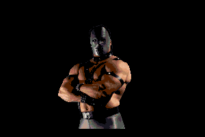 Pit-Fighter 2